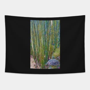 Bamboo Tapestry