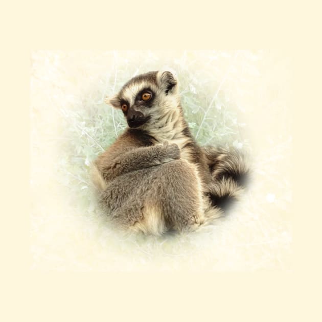 Lemur by Guardi