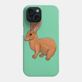 Bun Bun Phone Case