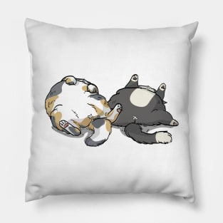 Sleeping Cats Pillow