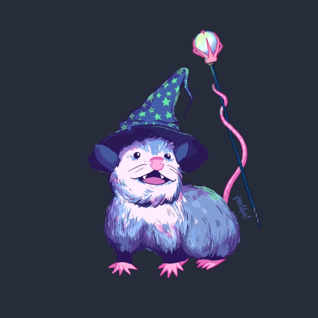 Wizard Opossum by paintdust