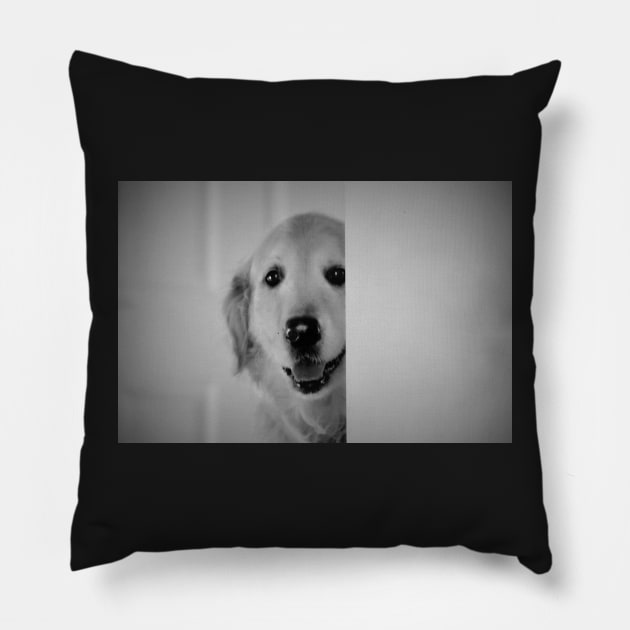 Being bashful... Pillow by LaurieMinor