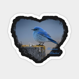 Mountain Bluebird Heart Magnet