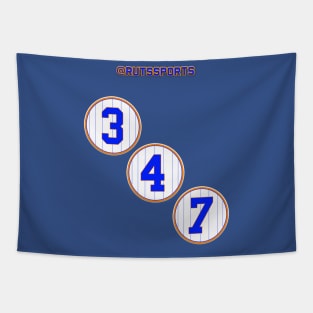 Rep Your Area Code (NY NL 347) Tapestry