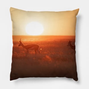 African Sunset Pillow