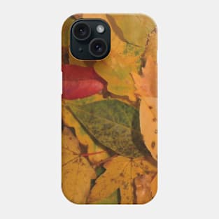 Fallen Autumn Foliage from Trees Phone Case