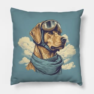 Aviator dog Pillow