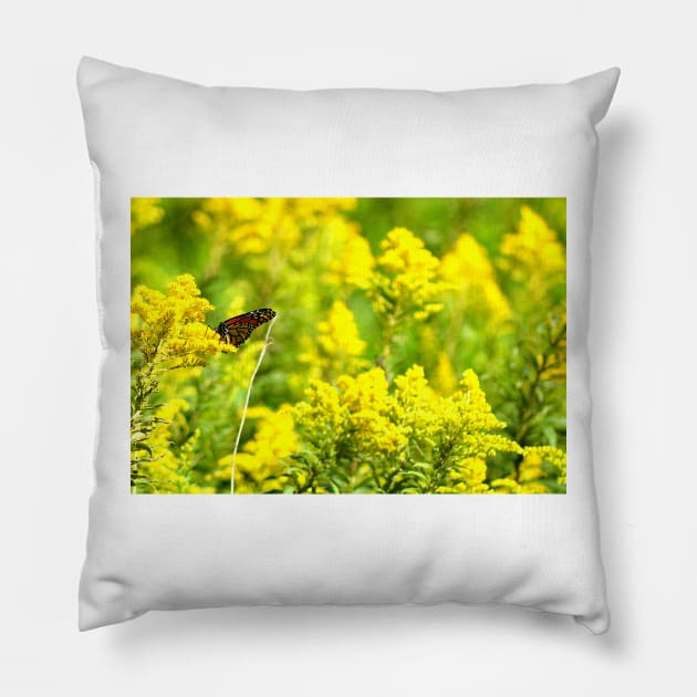 Monarch and Goldenrod Pillow by srosu