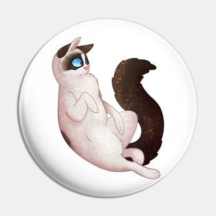 Cozy Ragdoll Cat Pin