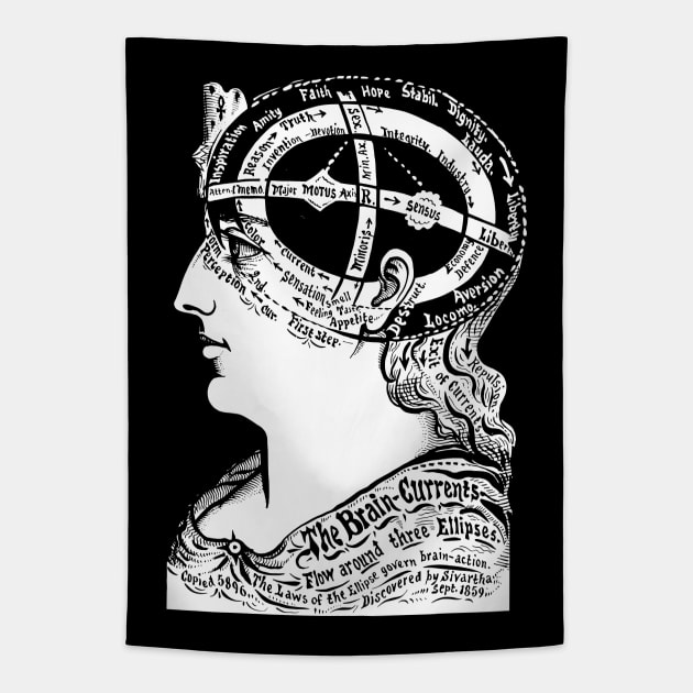 Brain Currents, The Book Of Life Tapestry by the gulayfather