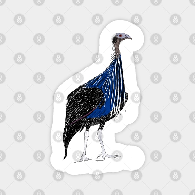 VulturineGuineafowl Magnet by H. R. Sinclair