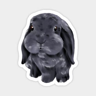 Blue Holland Lop Rabbit | Bunniesmee Magnet