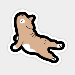 Doggie yogi - Dog Stretching Magnet