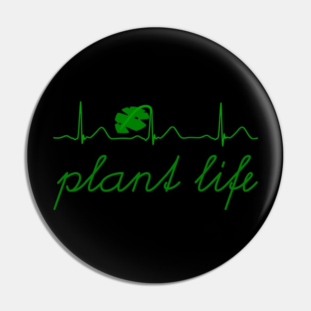 Plant life monstera heartbeat Pin by meldra