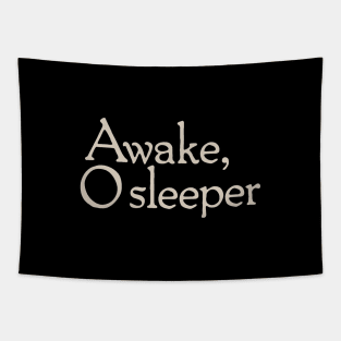 Awake O Sleeper Tapestry