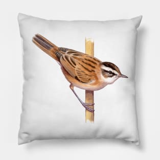 Moustached Warbler Pillow