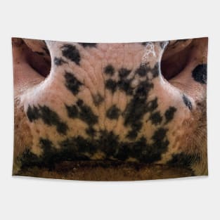 cow mouth face mask - cow lover gifts - cow face masks funny Tapestry