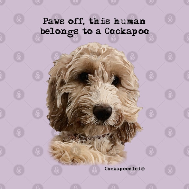 Cockapoo Dog by WoofnDoodle 