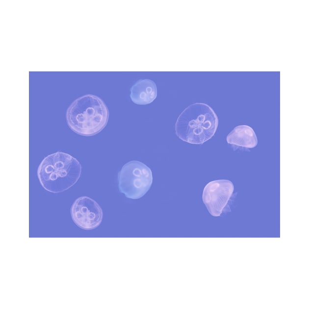 Jellyfish Pattern by AnimalPatterns