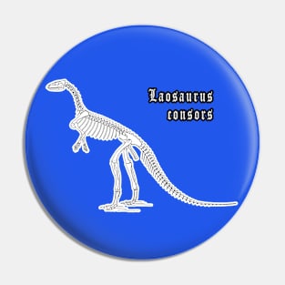 🦖 Fossil Skeleton of Laosaurus consors Dinosaur Species Pin