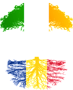 Irish Grown With Romanian Roots - Gift for Romanian With Roots From Romania Magnet