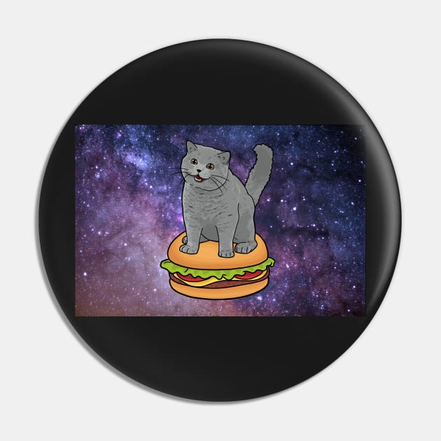 I CAN HAS CHEEZBURGER chubby meme cat in space Pin by sivelobanova