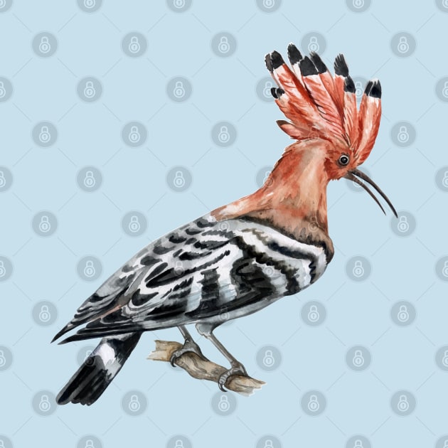 hoopoe bird hand drawn by Mako Design 