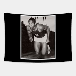 O.J. Simpson Tapestry