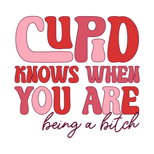 Cupid Knows When You Are Being a Bitch Love Sucks Anti Love Anti Valentine Club T-Shirt