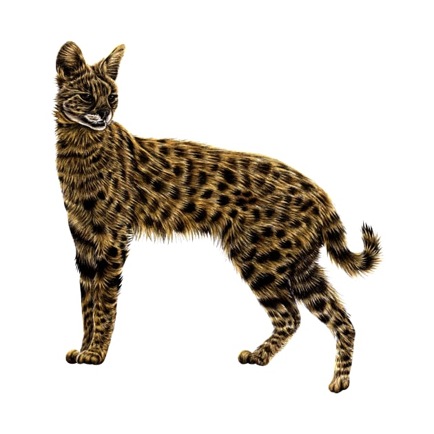 Serval cat by lorendowding