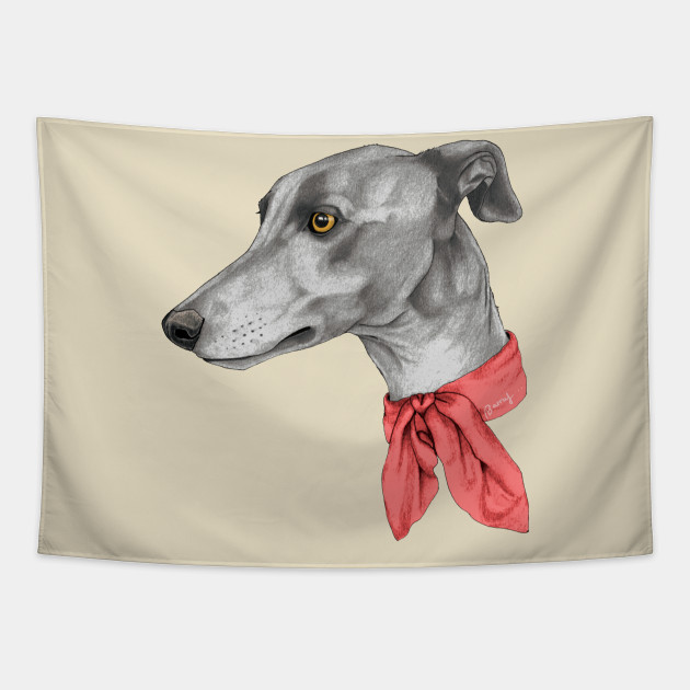 greyhound scarf