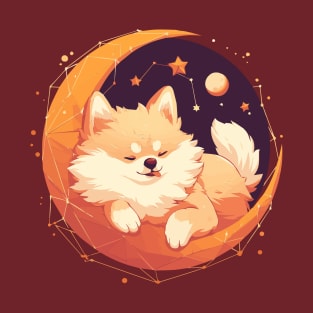 Cute pomeranian sleeping in the night sky T-Shirt