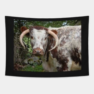 How Now Brown Cow Tapestry