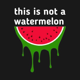 Palestine flag color watermelon T-Shirt