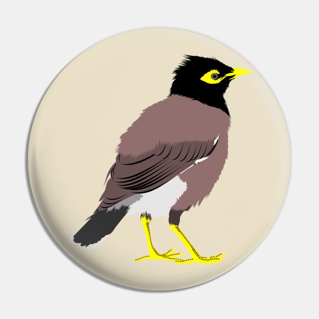 Common Myna Pin by stargatedalek