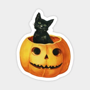 Vintage Black Cat In Pumpkin Magnet