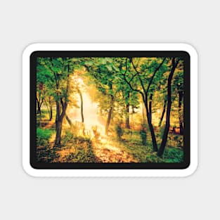 Forest Oil painting Magnet