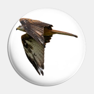 Red Kite Pin