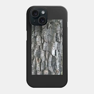 Cottonwood Bark Phone Case