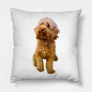 Cavapoo Cavoodle puppy in green - cute cavalier king charles spaniel Pillow