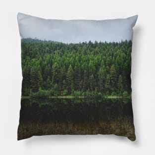 Fresh Air, Forest Landscape Photograph Pillow