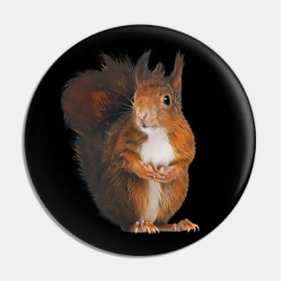 Squirrel - Woodland Themed Kids Room, Funny Gifts For Forester, Cute Animals Pin