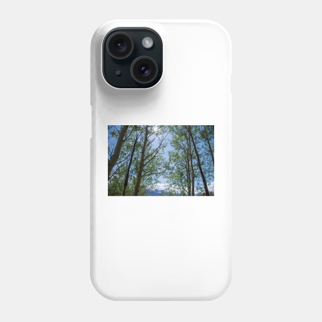 Colorado Mountain 5 Phone Case by photosbyalexis