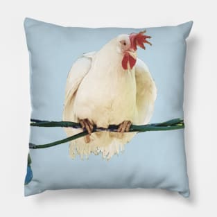 Chicken are birds Pillow