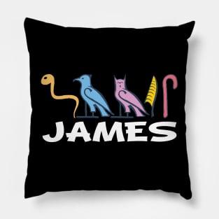 JAMES-American names in hieroglyphic letters-James, name in a Pharaonic Khartouch-Hieroglyphic pharaonic names Pillow