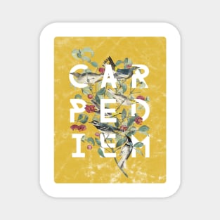 Carpe Diem - Modern Typography with Vintage Birds in Yolk Yellow Magnet