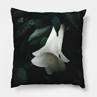 White Copihue Pillow