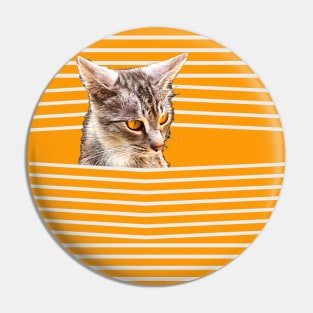 A yellow-eyed kitten peeks out from behind the stripes Pin