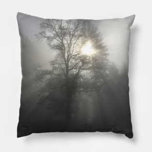 Mystical forest mood / Swiss Artwork Photography Pillow