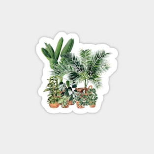 House Plants Illustration 17 Magnet